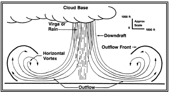 Line diagram of a microburst: cloud base, virga, downdraft, outflow front, horizontal vortex